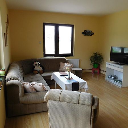 Zvezdica Apartment Bajina Basta Bagian luar foto