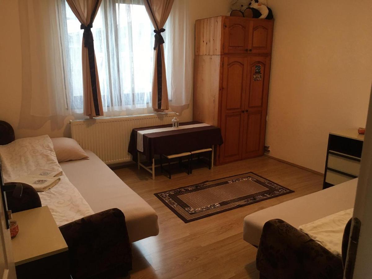 Zvezdica Apartment Bajina Basta Bagian luar foto