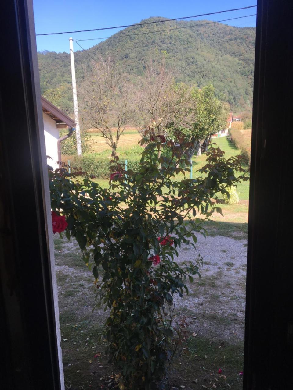 Zvezdica Apartment Bajina Basta Bagian luar foto