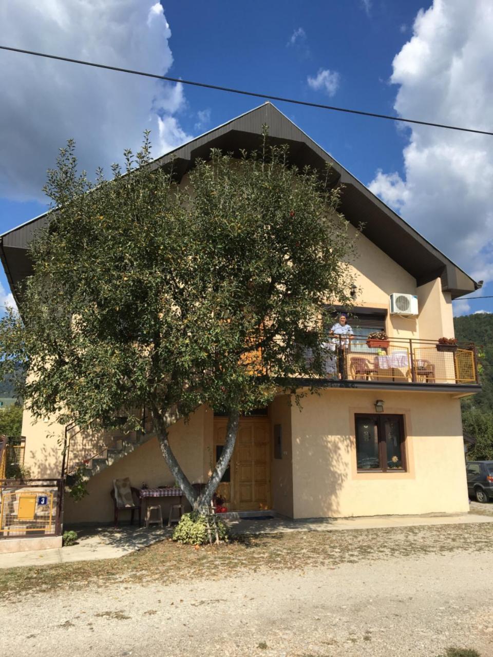 Zvezdica Apartment Bajina Basta Bagian luar foto